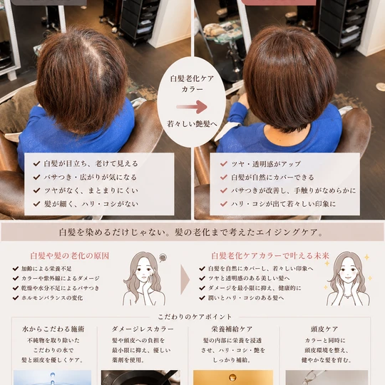 画像6288：『白髪老化ケア』カラーエステ！