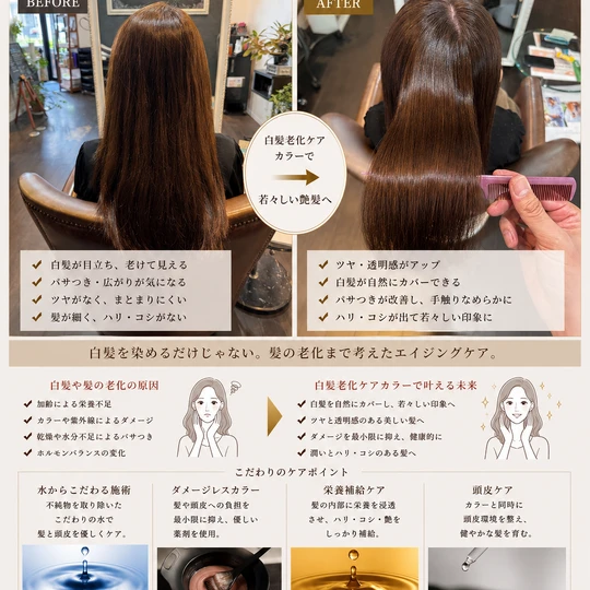画像6317：『白髪老化ケア』カラーエステ！