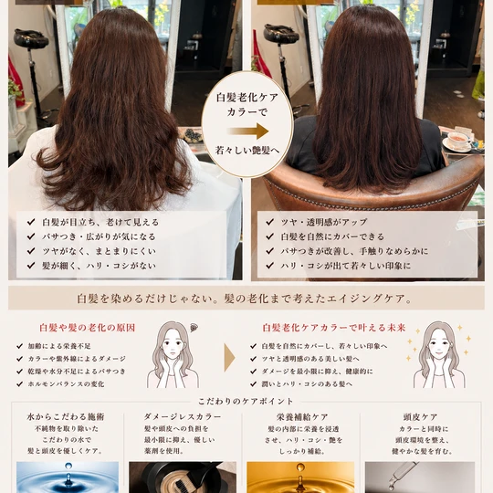 画像6319：『白髪老化ケア』カラーエステ！