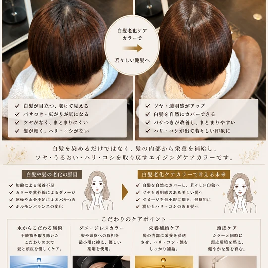 画像6323：『白髪老化ケア』カラーエステ！